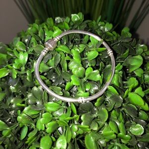 Silver Pandora Bracelet
